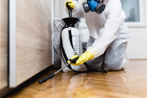 Best Residential Pest Control  in West Hazleton, PA