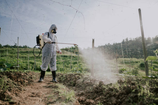 Pest Prevention Services in West Hazleton, PA