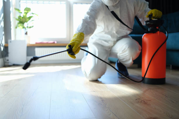 Professional Pest Control in West Hazleton, PA