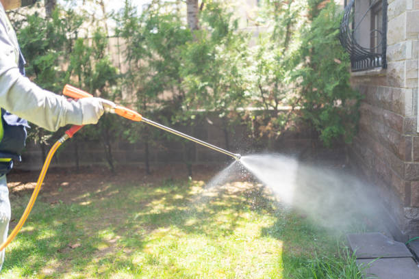 Best Local Pest Control Services  in West Hazleton, PA