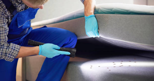 Best Pest Control Near Me  in West Hazleton, PA