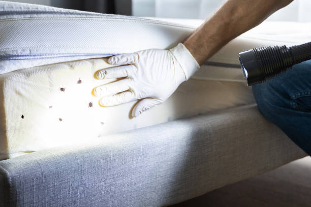 Best Wildlife Control Services  in West Hazleton, PA
