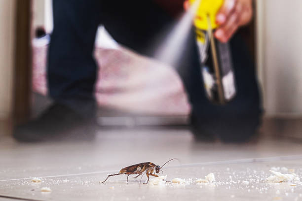 Best Best Pest Control Companies  in West Hazleton, PA