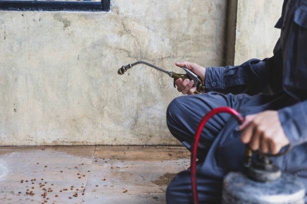 Best Pest Removal Services  in West Hazleton, PA